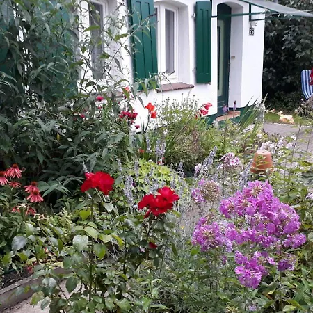 Exklusives Ferienhaus In Seddin Mit Garten Wlan Grill Kamin Wanne - Mitten In Der Natur! Bademoglichkeit In Der Nahe