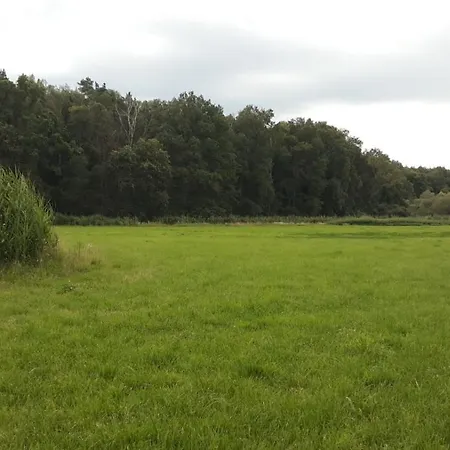 Exklusives Ferienhaus In Seddin Mit Garten Wlan Grill Kamin Wanne - Mitten In Der Natur! Bademoglichkeit In Der Nahe * Gross Pankow (Prignitz)