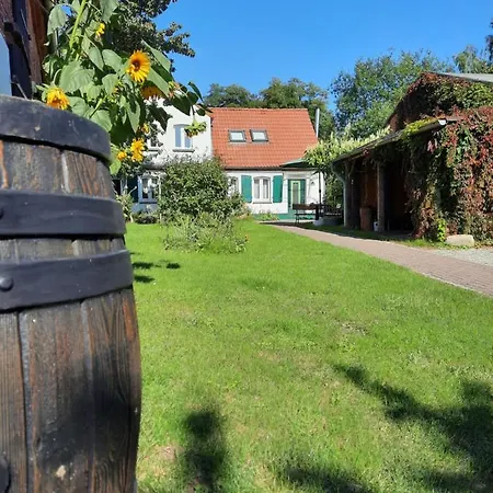 Exklusives Ferienhaus In Seddin Mit Garten Wlan Grill Kamin Wanne - Mitten In Der Natur! Bademoglichkeit In Der Nahe Gross Pankow (Prignitz)