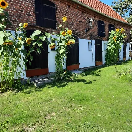 Exklusives Ferienhaus In Seddin Mit Garten Wlan Grill Kamin Wanne - Mitten In Der Natur! Bademoglichkeit In Der Nahe Holiday home *